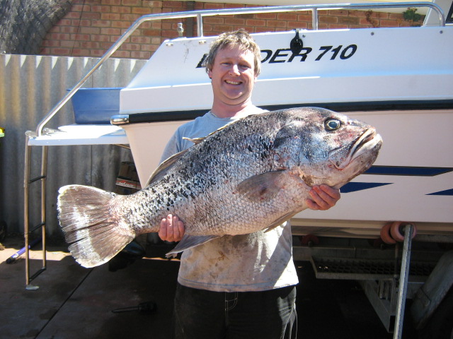 PB dhuie. 21.6kg